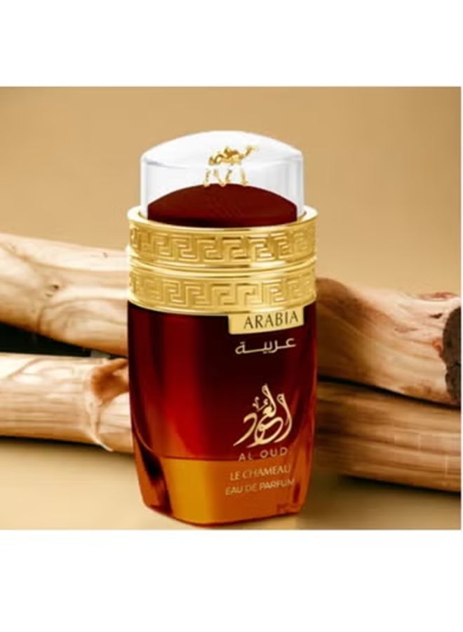 أرابيا عربية العود عطر للجنسين 100 مل - Image 5
