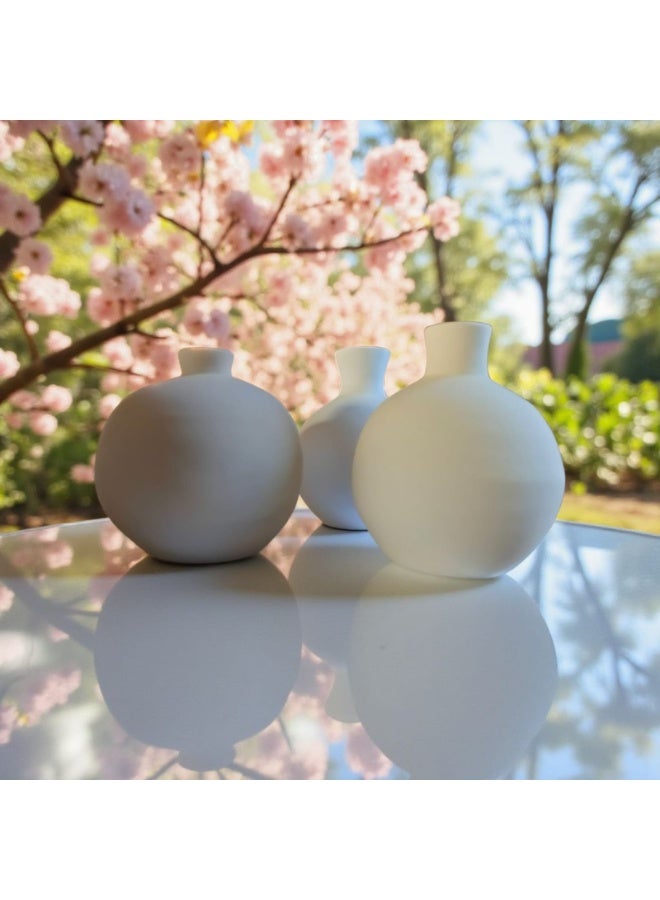 كلور زون بوتري طقم 3 قطع فازات فخارية ديكورية المكتب و المنزل بشكل مميز - Image 3