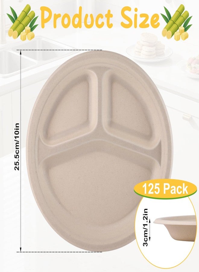 Loccmat 3 Compartment Paper Plates,125 Pack Disposable Paper Plate,10 Inch Compostable Plates,Heavy Duty Biodegradable Plate for BBQ,Lunch,Picnic,Party,Dinner,Daily Meals(Natural) - Image 2