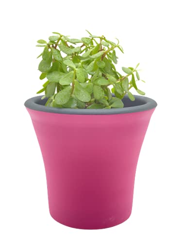 garbnoire Self Watering Flower pots 6” Virgin Plastic Indoor Outdoor Balcony Flower Pot with Outer Flower Pot and Inner Plate- Pack of (Pink, 5) - Image 5