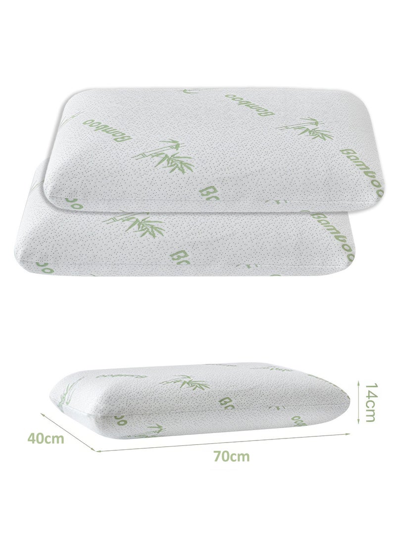 Floral 4 Piece Set of 2 Foam Pillows and 4 Pillow Case 50x75cm - pzsku/Z4CFB1DC8D578233528CDZ/45/_/1735417597/fcd0b3f5-c030-450a-91d1-187257ac46f1