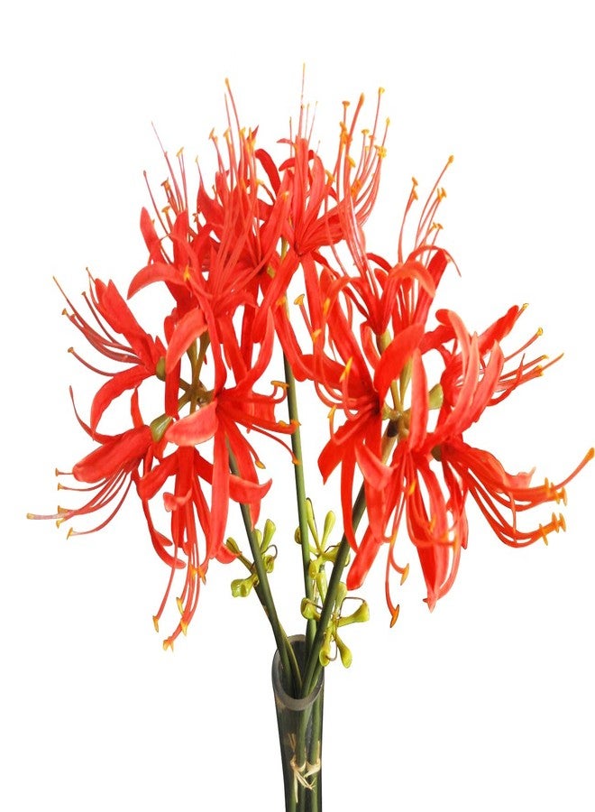Calcifer 3 Stems Red Spider Lilies Artificial Flowers Lycoris Bulbs (Red) - Image 4