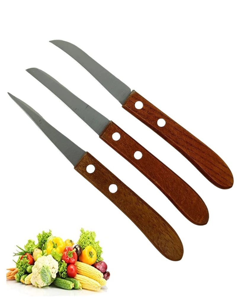 Bridge2shopping Multipurpose Fruit and Vegetable Carving Knife Wooden Handle, Set of 3 - Image 1