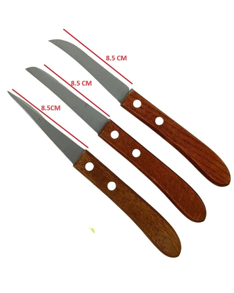 Bridge2shopping Multipurpose Fruit and Vegetable Carving Knife Wooden Handle, Set of 3 - Image 2