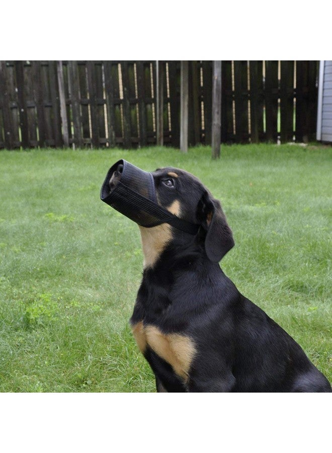 Western Era Strap Safe Net Wire Muzzle For Pet Safety Collar For Anti Biting Dog (Black) (Small - S) - Image 4