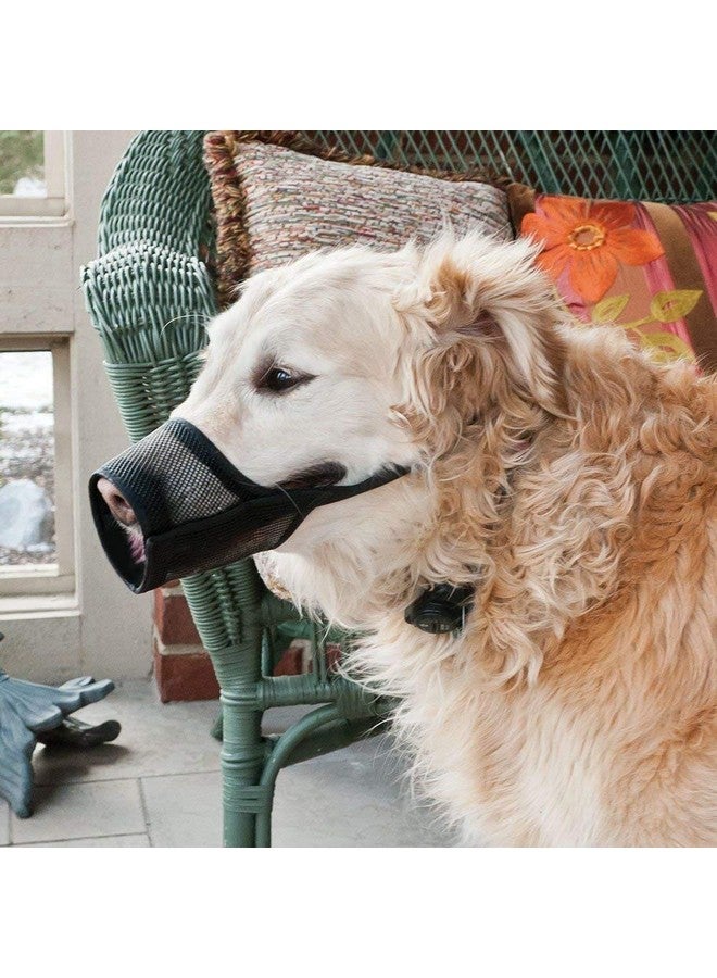 Western Era Strap Safe Net Wire Muzzle For Pet Safety Collar For Anti Biting Dog (Black) (Small - S) - Image 3