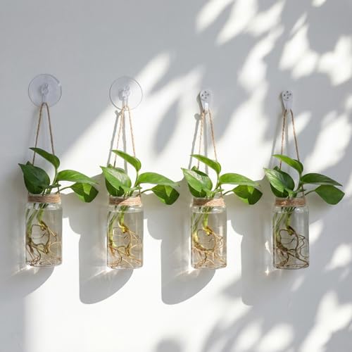 Baderke 9 Sets Window Hanging Propagation Stations 354 Plastic Propagation Vases with Suction Cup Traceless Nail Propagated Plant Holder Wall Jars for Office Home Garden Decoration Lover Gift - Image 3