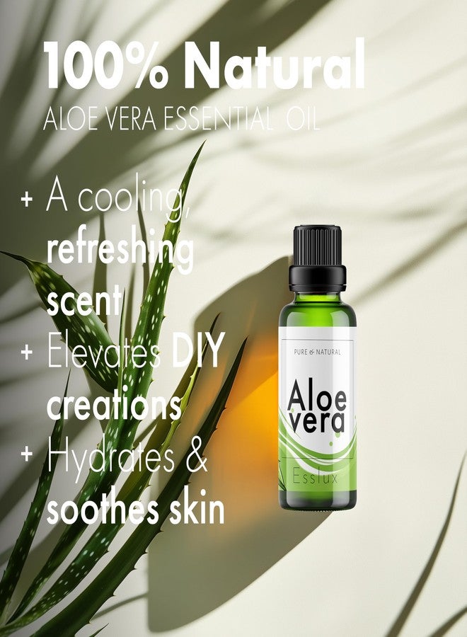 Esslux Aloe Vera Essential Oil - 100% Pure Natural Aloe Oil for Skin, Hair & Diffuser | Soothing & Hydrating Formula for Nourishment & Wellness - Ideal for DIY, Soap & Candle Making - 10 ML - Image 2