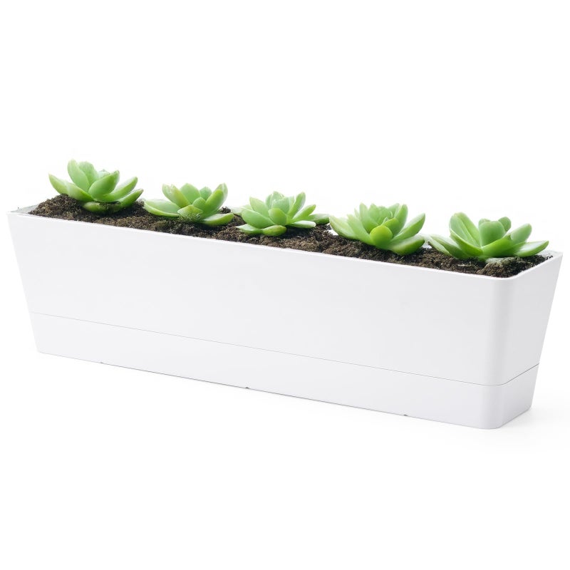 GREANER 16x3.8 Inch Window Boxes Planters, 1PCS Plastic Rectangle Potwith Tray, Lightweight Indoor Succulent Cactus Flowers Vegetable Herb Planters for Balcony, Office, Garden, Outdoor, Windowsill - Image 1