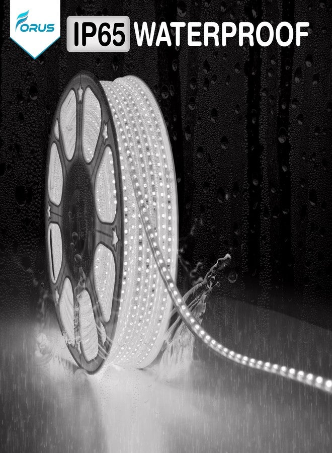 Forus حبل إضاءة LED من فوروس بطول 5 أمتار مع ضمان 6 أشهر، إضاءة خارجية مقاومة للماء لتزيين الأسقف والشرفات والديكور المنزلي والداخلي، إضاءة مرنة مناسبة لأعياد ديوالي وعيد الميلاد - رائعة - Image 5