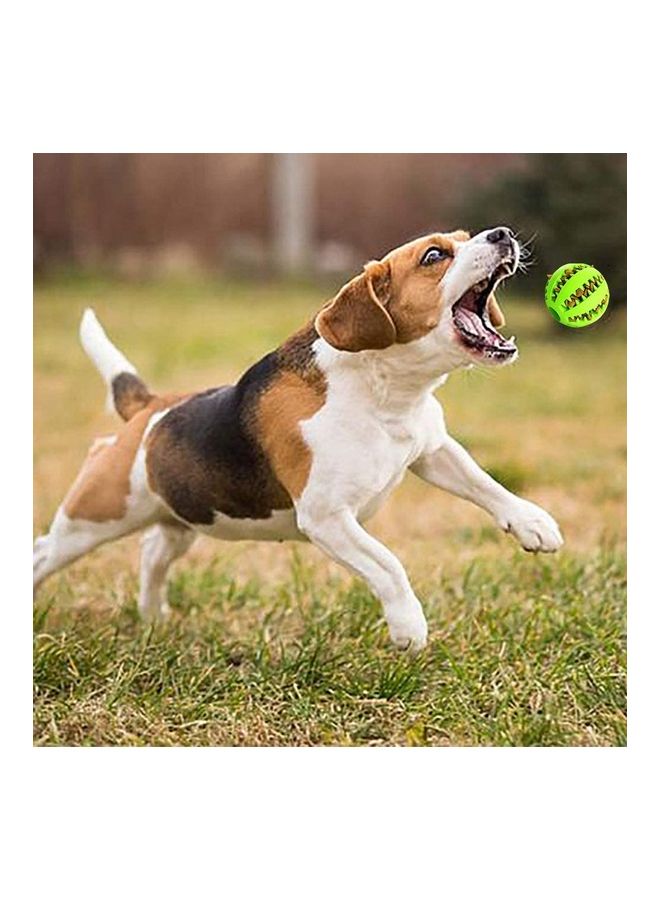 Green/Brown Pet Snuffle Training Feeding Mat Including Ball - Image 5