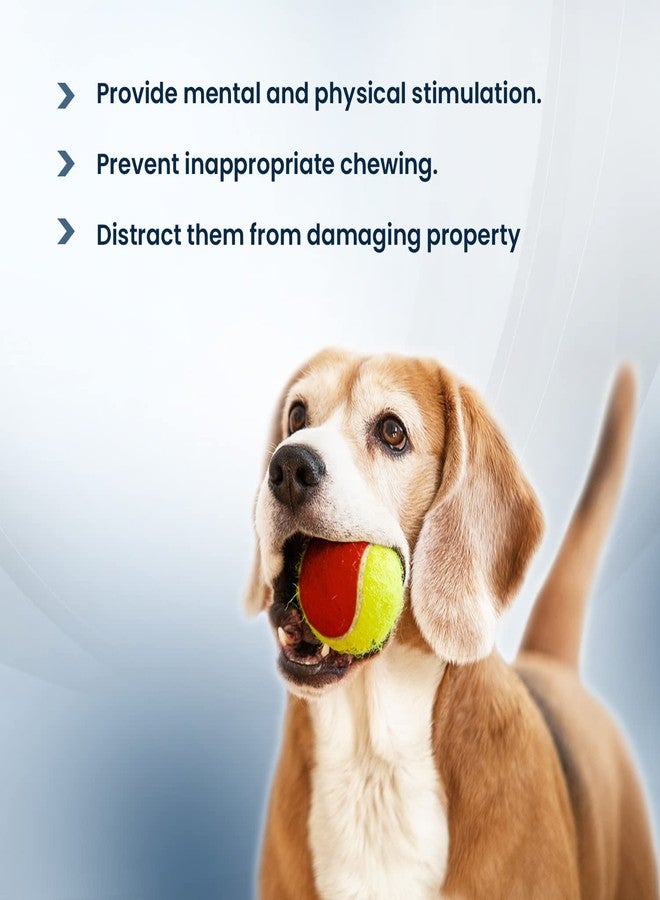 تريكسي لعبة كرة التنس تريكسي للكلاب والقطط | عبوة من قطعتين | كرة مطاطية طبيعية للكلاب | ارتداد عالٍ، لعبة متينة وآمنة | 6 سم | تشجع على الحركة واللعب النشط وسلوك المضغ الصحي - Image 5