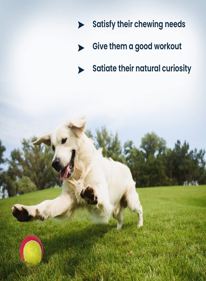 تريكسي لعبة كرة التنس تريكسي للكلاب والقطط | عبوة من قطعتين | كرة مطاطية طبيعية للكلاب | ارتداد عالٍ، لعبة متينة وآمنة | 6 سم | تشجع على الحركة واللعب النشط وسلوك المضغ الصحي - Image 4