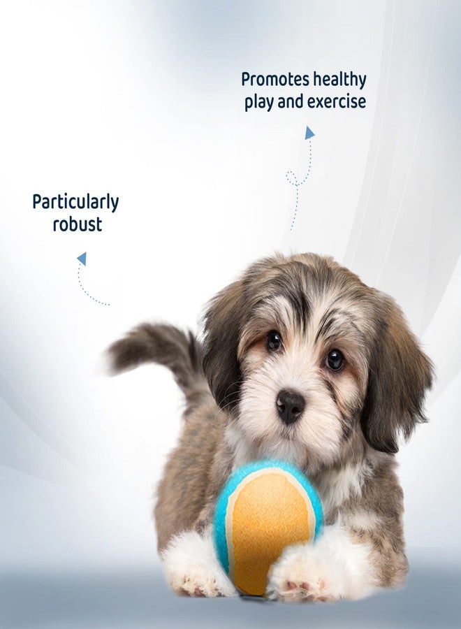 تريكسي لعبة كرة التنس تريكسي للكلاب والقطط | عبوة من قطعتين | كرة مطاطية طبيعية للكلاب | ارتداد عالٍ، لعبة متينة وآمنة | 6 سم | تشجع على الحركة واللعب النشط وسلوك المضغ الصحي - Image 3