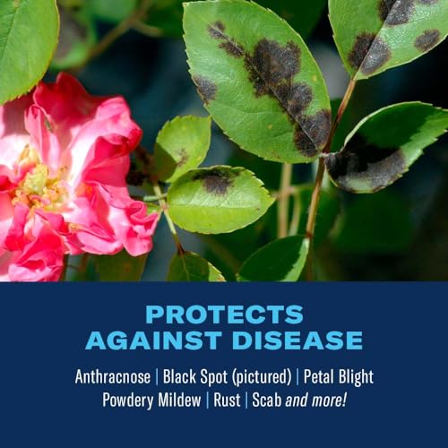 BioAdvanced 3-in-1 Insect and Mite Plant Bug Spray, Pest Control Ready-to-Spray 32 oz, Disease Control - Image 3