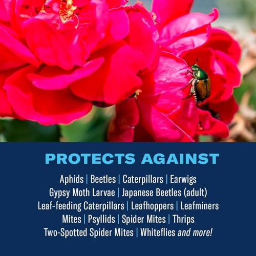BioAdvanced 3-in-1 Insect and Mite Plant Bug Spray, Pest Control Ready-to-Spray 32 oz, Disease Control - Image 2