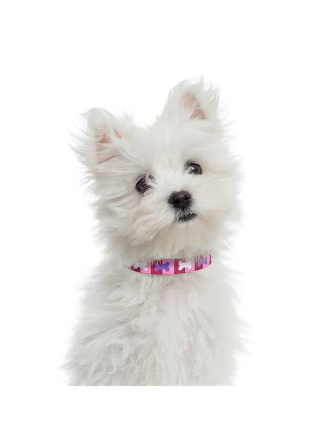 مايل هاي لايف طوق نايلون للجراء من مايل هاي لايف، نايلون خفيف الوزن بنقوش لطيفة، مناسب للكلاب الصغيرة والمتوسطة والكبيرة (عظمة أرجوانية، رقبة متوسطة، من 13 إلى 17 بوصة) - Image 5