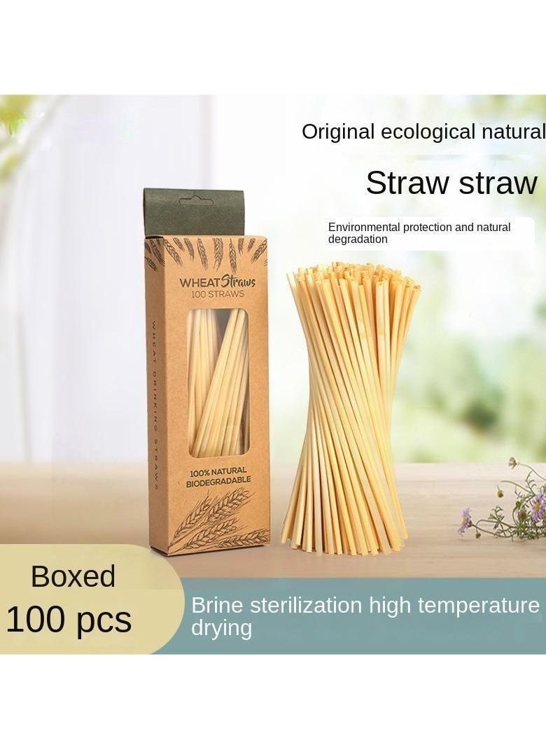 Y&D 100-Piece Plant Wheat Straws Set - Image 1
