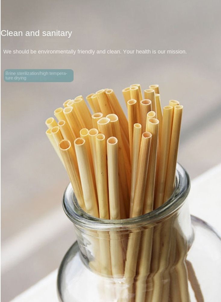 Y&D 100-Piece Plant Wheat Straws Set - Image 3