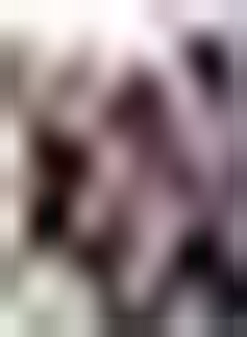 GGOOT 100pcs Dark Red  Seeds Perennial Gardening Colored Hanging Flowers Impressive Flower Seeds for Garden Balcony Planting - Image 1