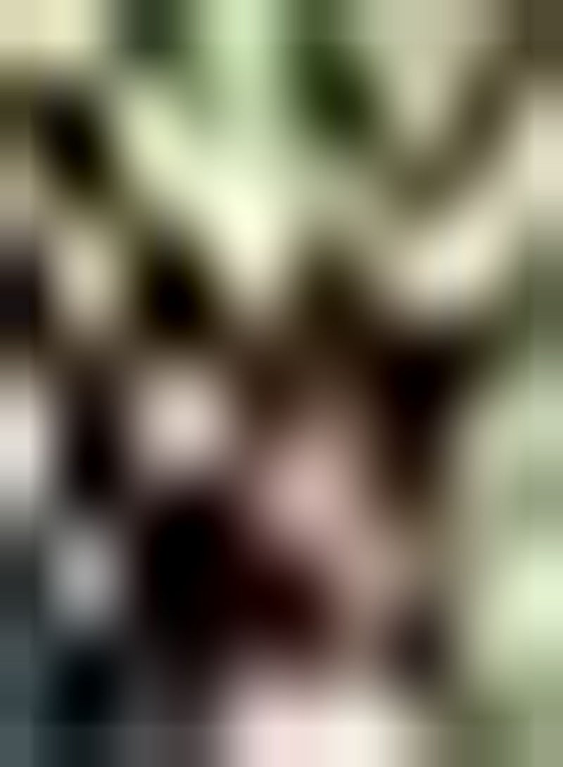 GGOOT 100pcs Dark Red  Seeds Perennial Gardening Colored Hanging Flowers Impressive Flower Seeds for Garden Balcony Planting - Image 2