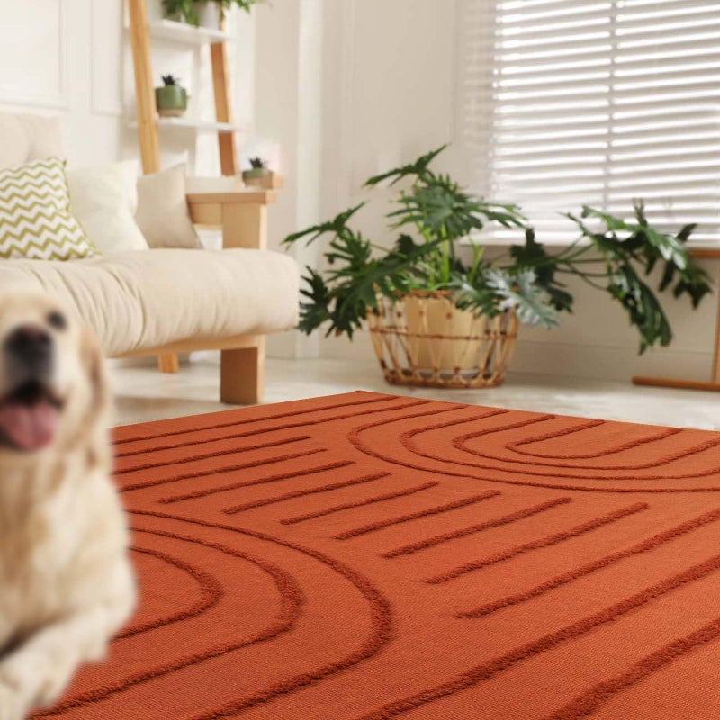 LEEVAN Washable Rugs for Living Room 5x8, Terracotta Tufted Rainbow Nursery Rug, Boho Low Pile Bedroom Floor Carpet, Modern Farmhouse Kids Room Rug for Dorm/Bedside/Classroom/Room - Image 1