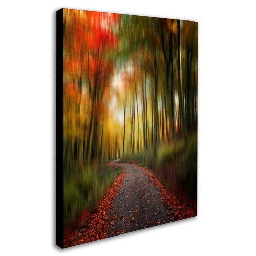 Trademark Fine Art The Lost Path Canvas Wall Art by Philippe Sainte-Laudy, 14 by 19-Inch - Image 2