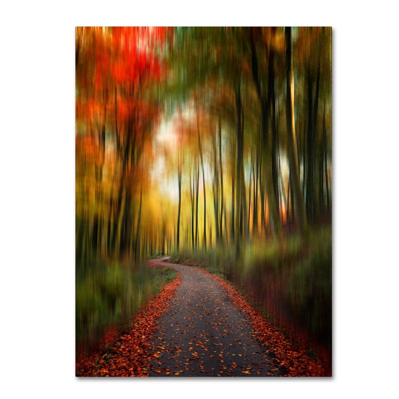 Trademark Fine Art The Lost Path Canvas Wall Art by Philippe Sainte-Laudy, 14 by 19-Inch - Image 5