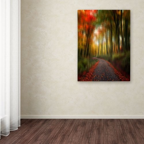 Trademark Fine Art The Lost Path Canvas Wall Art by Philippe Sainte-Laudy, 14 by 19-Inch - Image 3