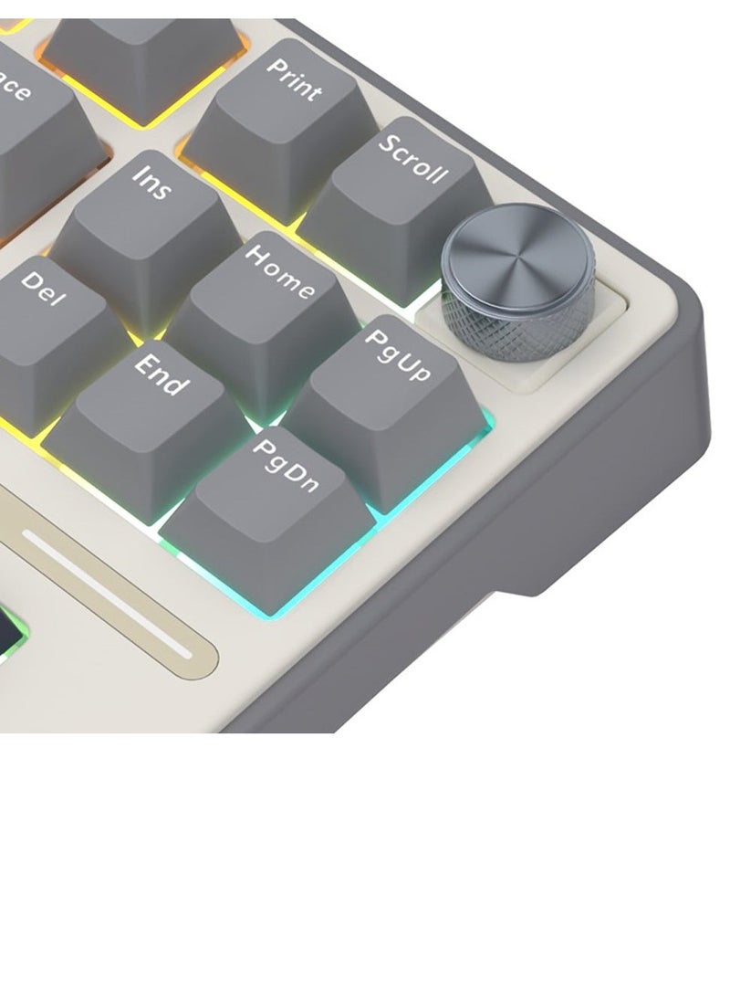 Royal Kludge RK Royal Kludge R87 Pro TKL Wired Mechanical Gaming Keyboard - 88 Keys, Gasket Mount, Hot Swappable Brown Switches, RGB Backlighting, Cherry Profile PBT Keycaps, Removable Metal Volume Knob, QMK/VIA Programming, USB Type-C, Compatible with Windows/macOS/Linux  - Image 3