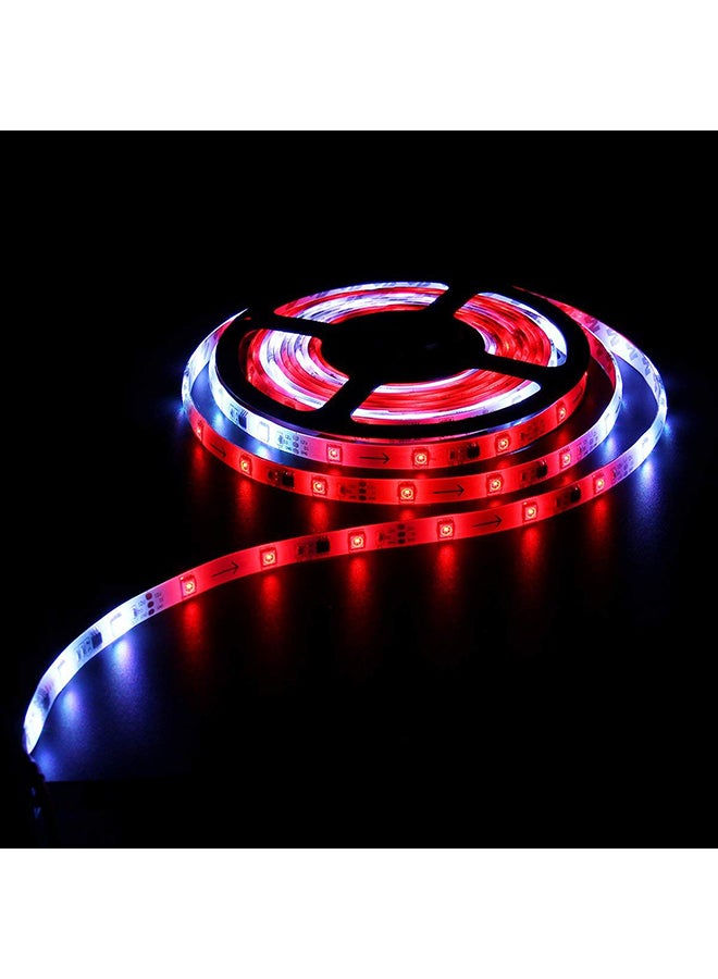 LED Strip Light Magic Dream 5meter - Image 3