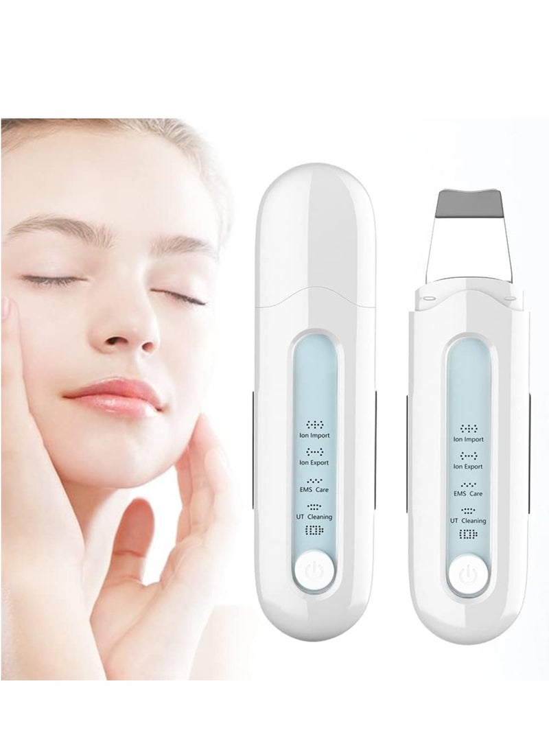 HUIHAO - Blackhead Remover Deep Cleansing Machine with 2 Rechargeable Moisturizing Brushes - Image 1