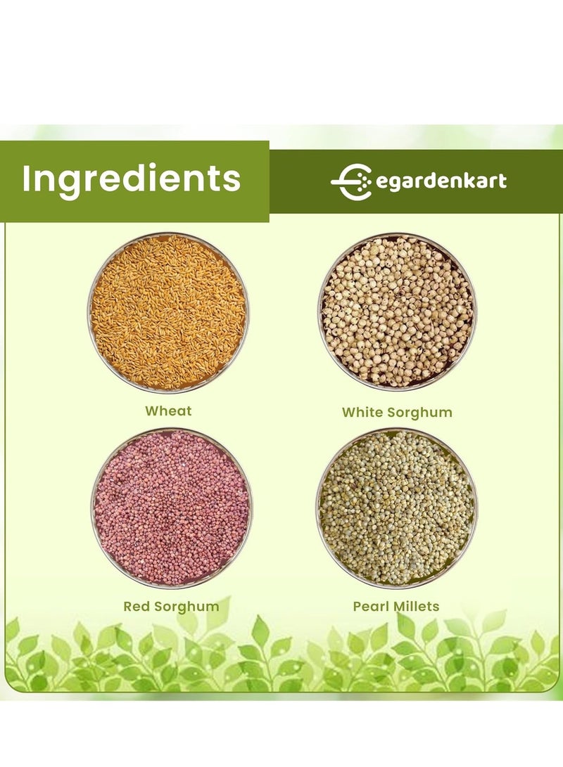 Egardenkart إي غاردن كارت® طعام الطيور بميزانية يومية - بذور الطيور | غذاء الطيور البرية لجميع أنواع الطيور البرية | طعام الطيور للطيور الصغيرة مثل الحمام، الدراج، المينا، القبرة، البلبل، والعصفور، مزيج بذور الهدهد - Image 4