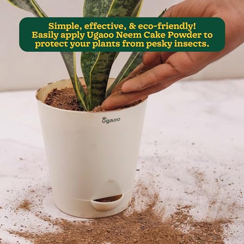 Ugaoo Neem Cake Powder for Plants 1 Kg - Organic Fertilizer & Pest Repellent - Image 2