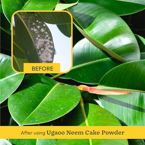Ugaoo Neem Cake Powder for Plants 1 Kg - Organic Fertilizer & Pest Repellent - Image 3