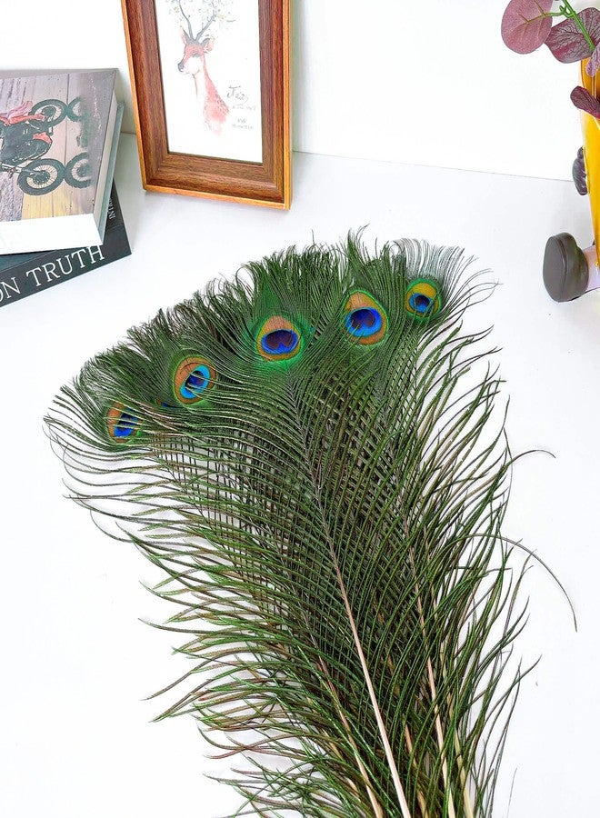 Piokio 10 pcs Peacock Feathers in Bulk 16-18inch(40-45 cm) Bulk for DIY Craft, Wedding, Halloween Decoration - Image 4