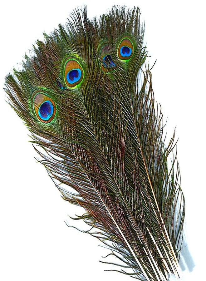 Piokio 10 pcs Peacock Feathers in Bulk 16-18inch(40-45 cm) Bulk for DIY Craft, Wedding, Halloween Decoration - Image 1