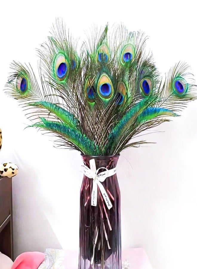 Piokio 10 pcs Peacock Feathers in Bulk 16-18inch(40-45 cm) Bulk for DIY Craft, Wedding, Halloween Decoration - Image 5
