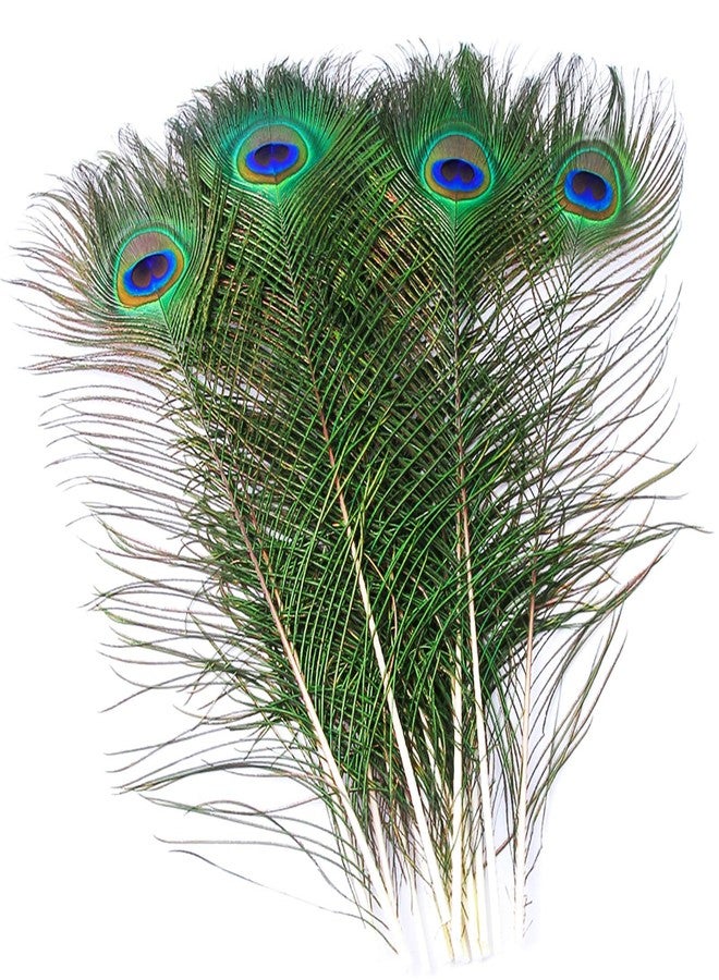 Piokio 10 pcs Peacock Feathers in Bulk 16-18inch(40-45 cm) Bulk for DIY Craft, Wedding, Halloween Decoration - Image 3