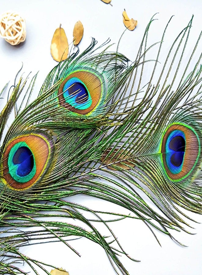 Piokio 10 pcs Peacock Feathers in Bulk 16-18inch(40-45 cm) Bulk for DIY Craft, Wedding, Halloween Decoration - Image 2