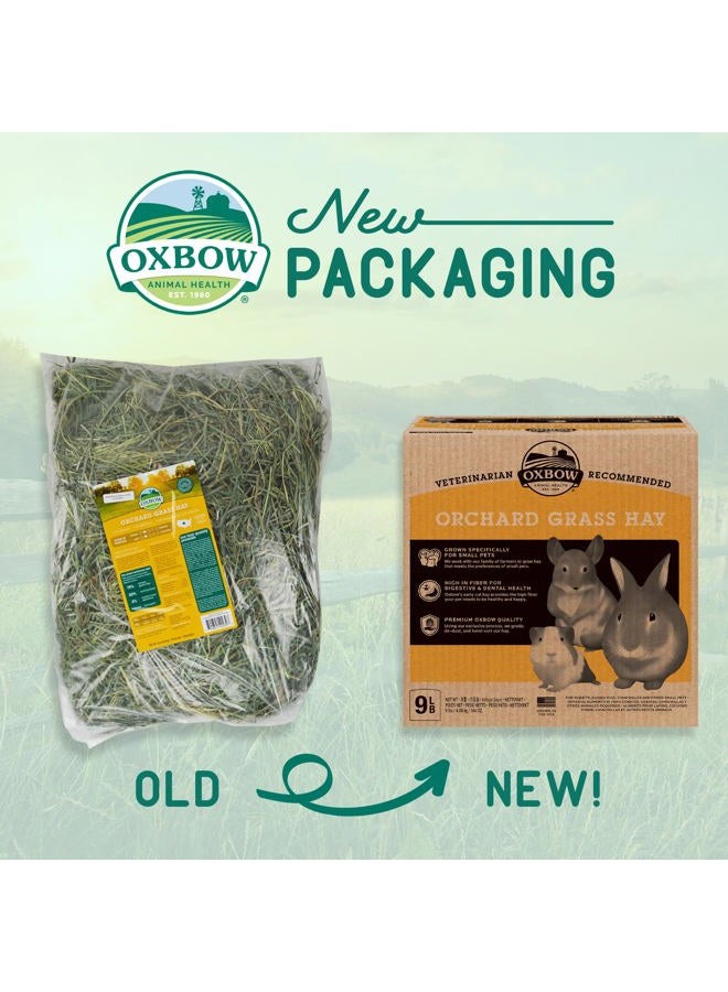 Oxbow Animal Health Orchard Grass Hay - All Natural Grass Hay for Chinchillas, Rabbits, Guinea Pigs, Hamsters, Gerbils & Other Small Pets - Fiber Rich- Grown in the USA- 9 lb. - Image 2