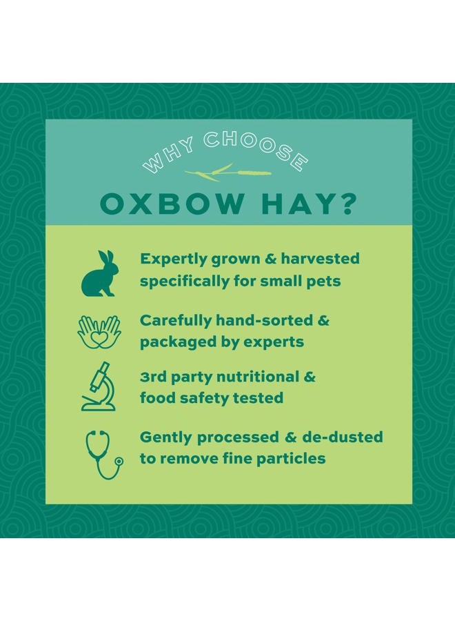 Oxbow Animal Health Orchard Grass Hay - All Natural Grass Hay for Chinchillas, Rabbits, Guinea Pigs, Hamsters, Gerbils & Other Small Pets - Fiber Rich- Grown in the USA- 9 lb. - Image 4
