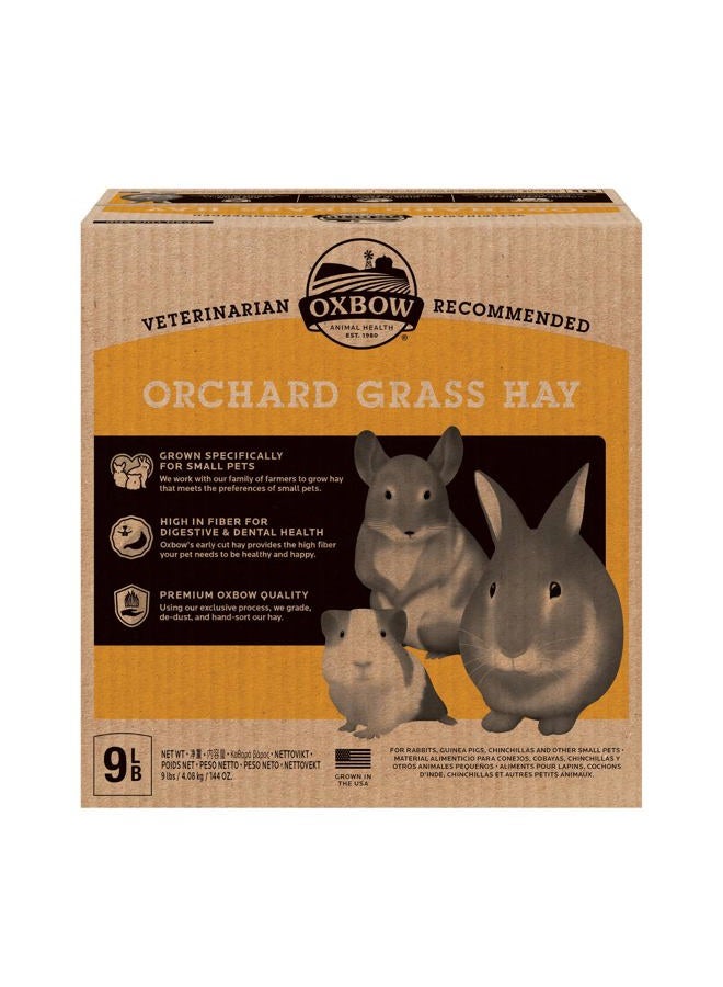 Oxbow Animal Health Orchard Grass Hay - All Natural Grass Hay for Chinchillas, Rabbits, Guinea Pigs, Hamsters, Gerbils & Other Small Pets - Fiber Rich- Grown in the USA- 9 lb. - Image 1
