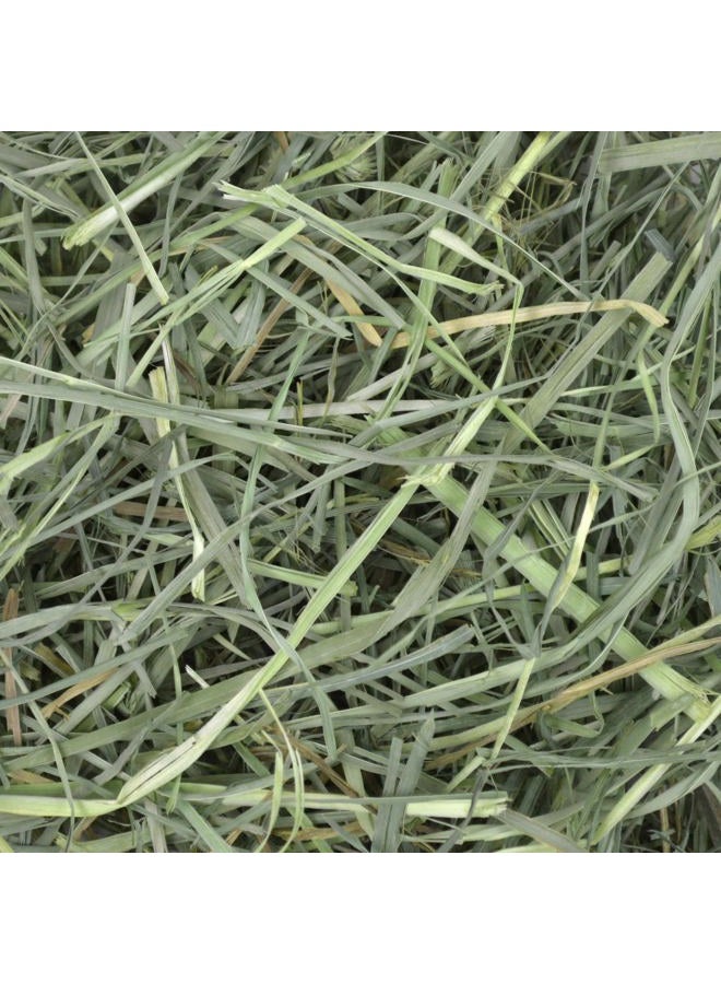 Oxbow Animal Health Orchard Grass Hay - All Natural Grass Hay for Chinchillas, Rabbits, Guinea Pigs, Hamsters, Gerbils & Other Small Pets - Fiber Rich- Grown in the USA- 9 lb. - Image 5