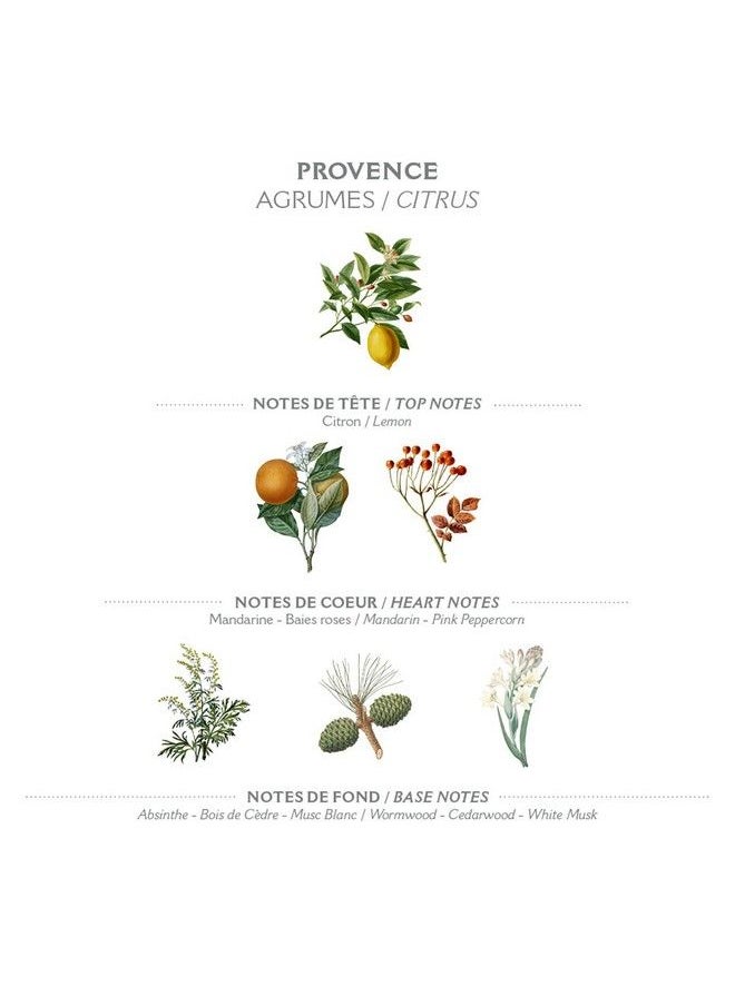 PANIER DES SENS Shower Gel (Provence)…  - Image 4