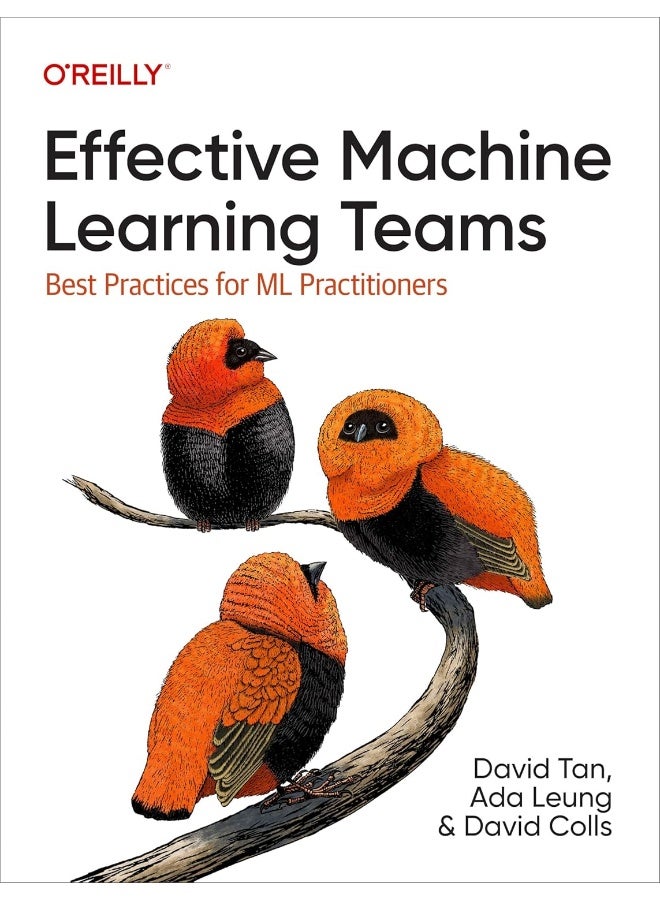 Effective Machine Learning Teams: Best Practices for ML Practitioners 