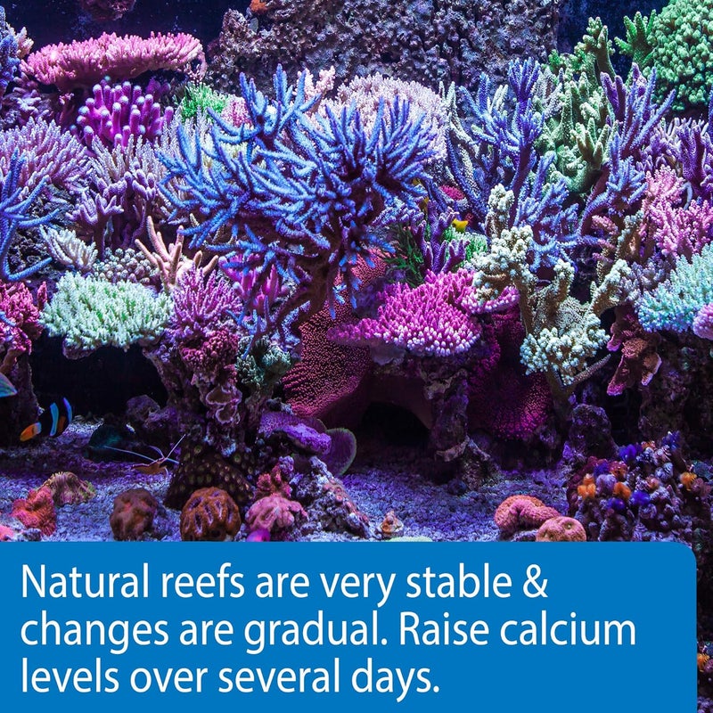 ايه بي آي API MARINE CALCIUM محلول كالسيوم لحوض الأسماك المرجانية زجاجة 16 أونصة - Image 2