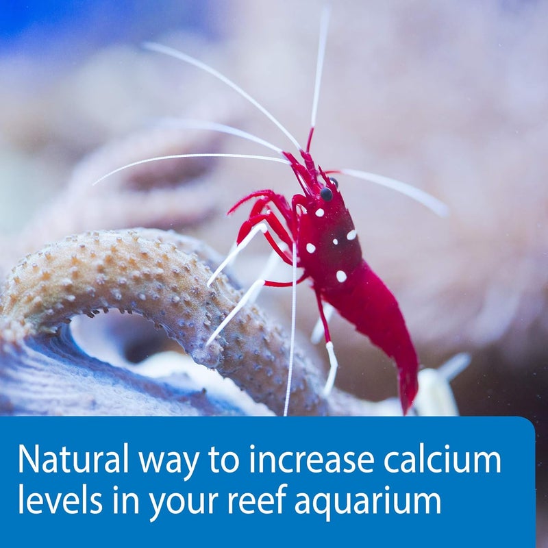 ايه بي آي API MARINE CALCIUM محلول كالسيوم لحوض الأسماك المرجانية زجاجة 16 أونصة - Image 4