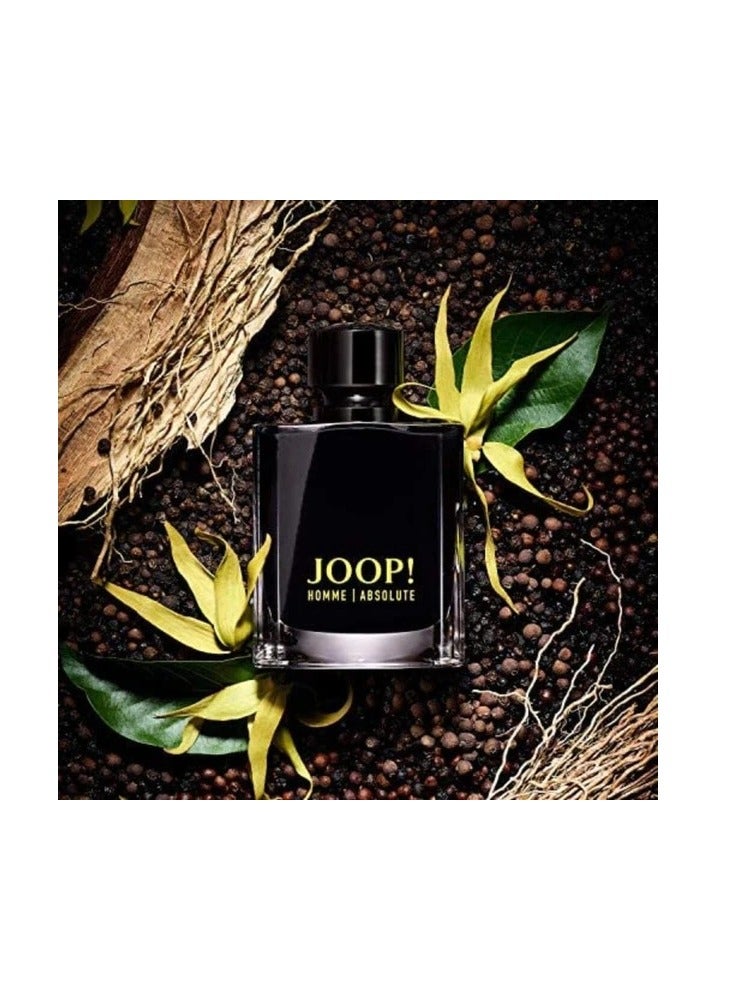 جوب عطر جوب هوم ابسولوت او دو بارفيوم 120 مل - Image 2