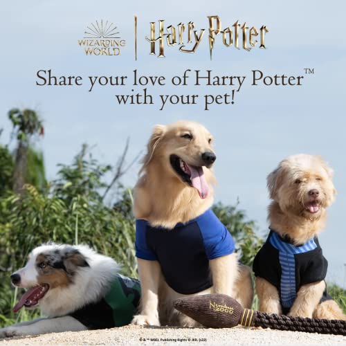 Harry Potter: 4PK Hogwarts Pride Pet Tennis Balls - 2.5" - Image 5